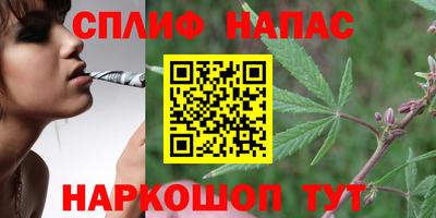 тгк Кулебаки